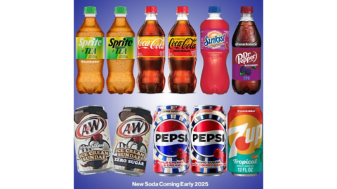 Taste The Future 2025 S Exciting New Lineup Of Sodas And Desserts New Soda Releases In 2025 480x270 