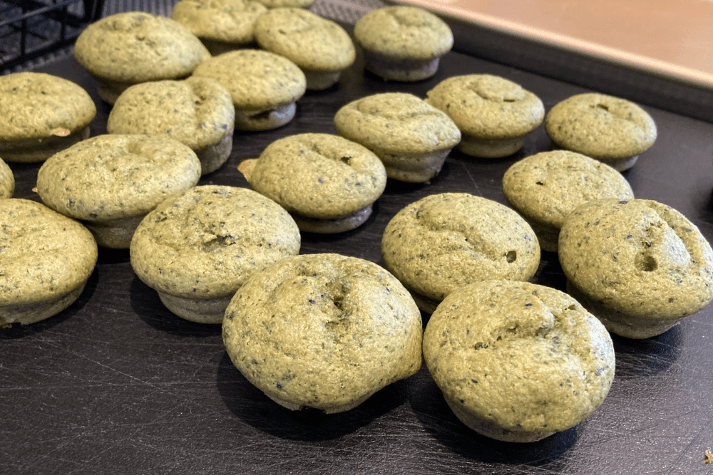 Vegan Protein Muffins