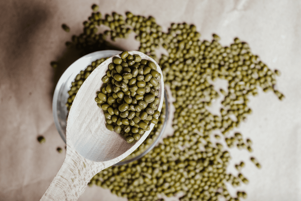 Image Credit Vie Studio